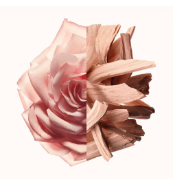 Irresistible Nude Velvet - Eau de Parfum